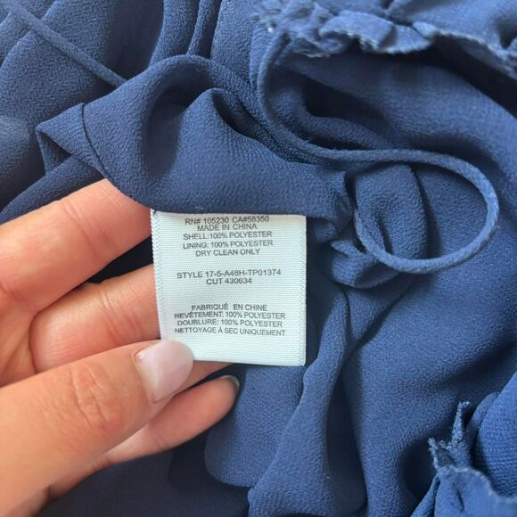 Joie blue and white pleated sheer blouse amzie size s - Picture 5 of 6